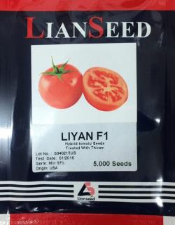 بذر گوجه فرنگی لیان