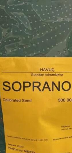 فروش بذر هویج سوپرانو